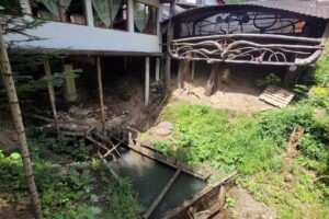 Pensiunea Casa Zimbru