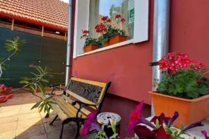 Pensiunea Casa Zmeilor ***