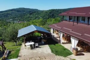 Pensiunea Casuta Trandafirilor