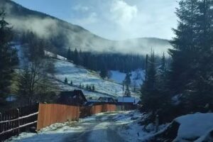 pensiunea cerbul Lacu Rosu