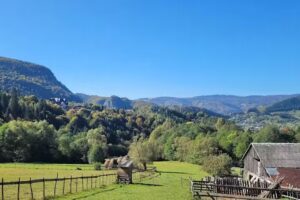 Pensiunea Cetatea Piatra Craiului