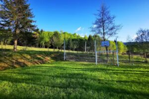 Pensiunea Colț De Rai