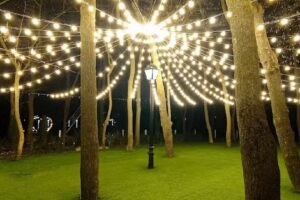 Pensiunea Conacul Marelui Paharnic