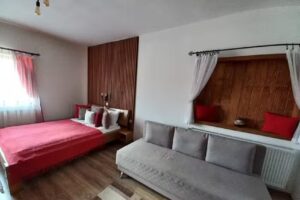 Pensiunea Constantin