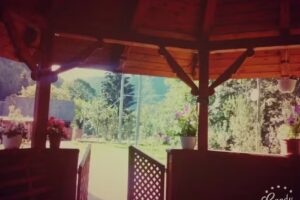 Pensiunea Danciu Albac