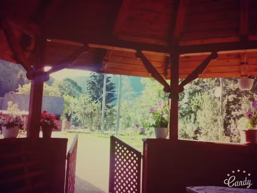 Pensiunea Danciu Albac