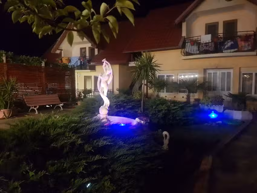 Pensiunea Darius Costinesti