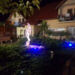 Pensiunea Darius Costinesti