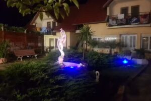 Pensiunea Darius Costinesti