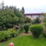 Pensiunea Delia
