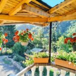 Pensiunea Delia Moieciu de Jos