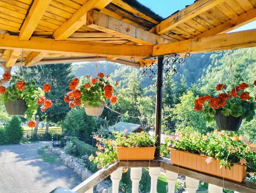 Pensiunea Delia Moieciu de Jos