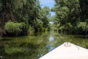 Pensiunea Delta Mayanka