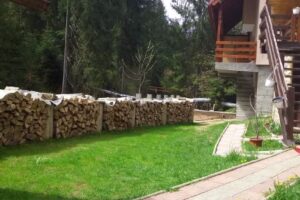 Pensiunea Diana Arieseni