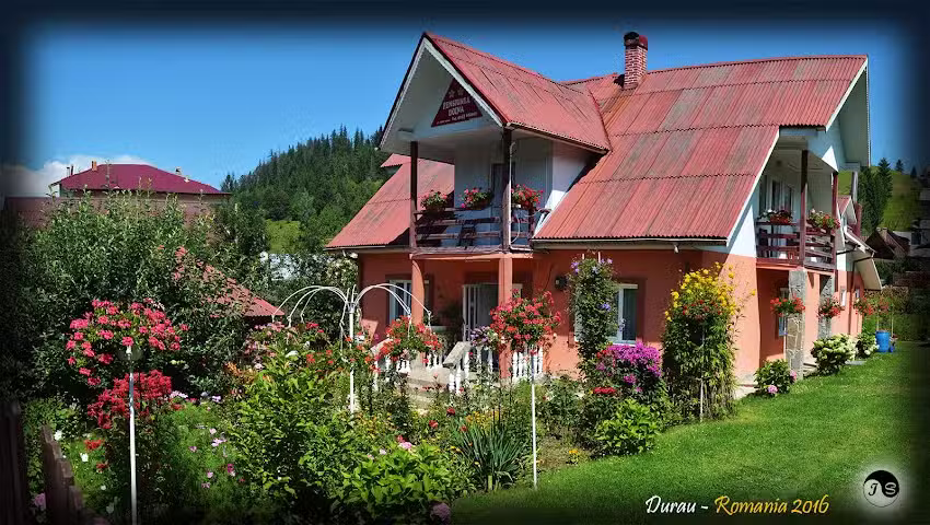 Pensiunea Doina