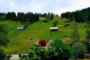 Pensiunea Dora – Moieciu de sus