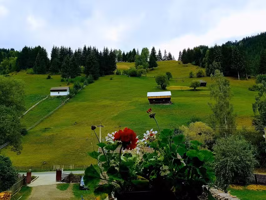 Pensiunea Dora – Moieciu de sus