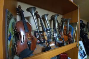 Pensiunea Dorel Codoban