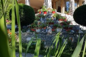 Pensiunea Două Raţe