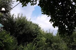 Pensiunea Draghici Adela – CAZARE ADELA