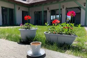 Pensiunea Drill Sfantu Gheorghe