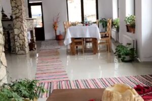 Pensiunea Drumul Iancului