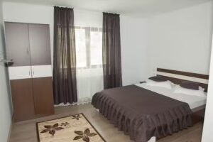 Pensiunea E.R.A. Rucar (Aaron’s Home)