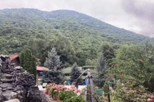 Pensiunea El Plazza DCC