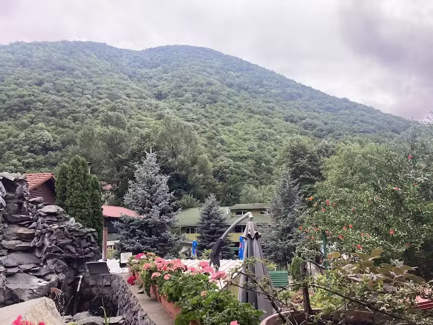 Pensiunea El Plazza DCC