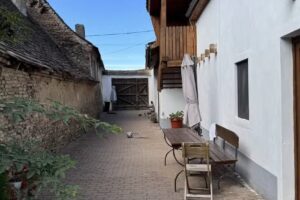 Pensiunea Family&Friends Crit 171