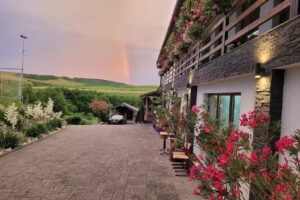 Pensiunea Fata Viilor