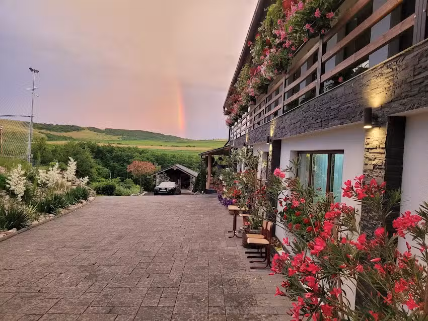 Pensiunea Fata Viilor