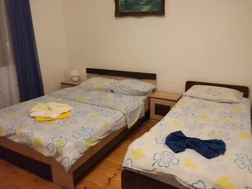 Pensiunea Floare De Colt