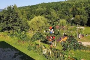 Pensiunea Floare de Maramures