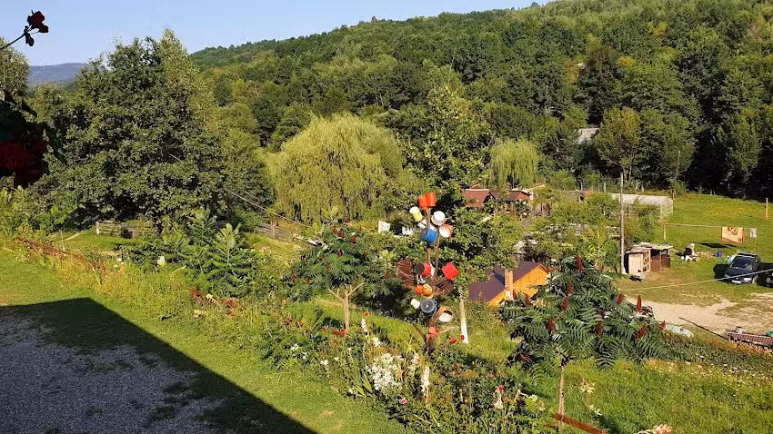 Pensiunea Floare de Maramures