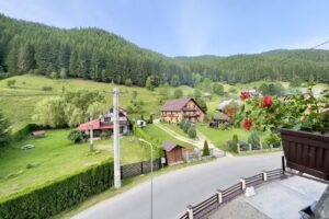 Pensiunea Floarea Muntilor