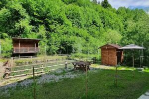 Pensiunea Floarea Soarelui