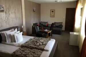 Pensiunea Flora, comuna Alexandru cel Bun, Neamt