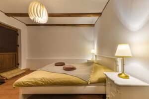 Pensiunea Flori Haus Saschiz