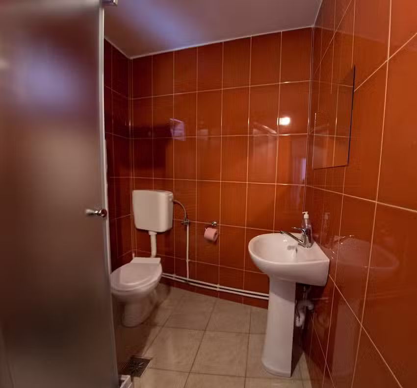 Pensiunea Flori Sibiel