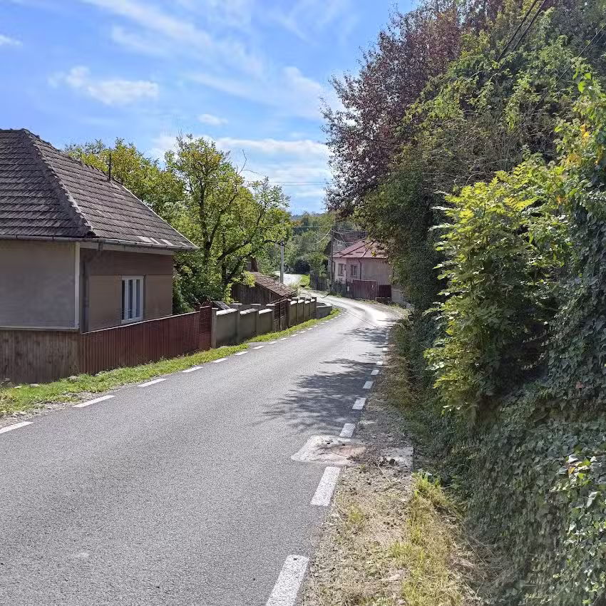 Pensiunea Fratii Iancu