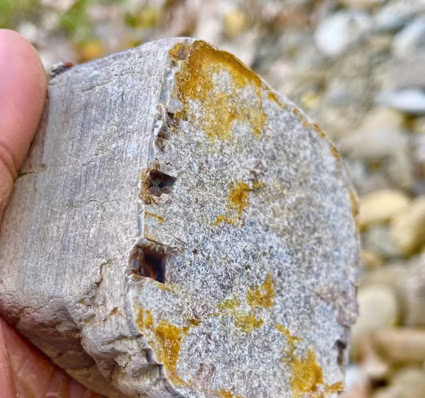 Pensiunea GREEN ODOBA