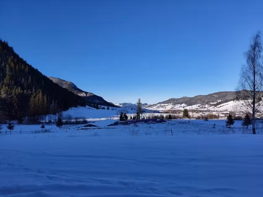 Pensiunea Hasmasul Negru