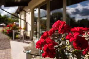 Pensiunea – HERMITAGE by Elenis – Panzio