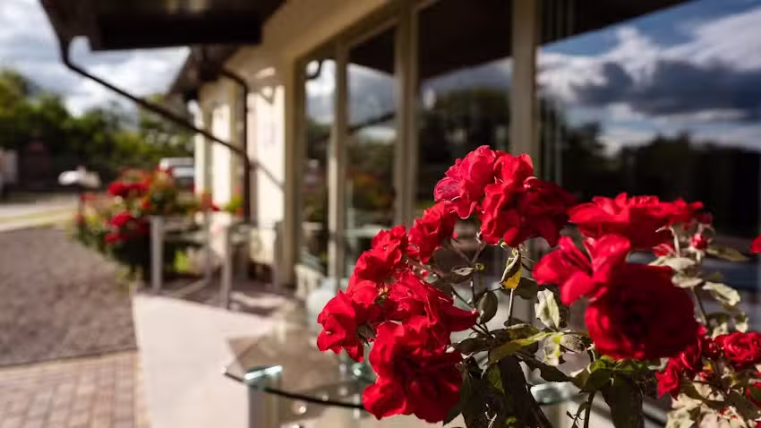 Pensiunea – HERMITAGE by Elenis – Panzio