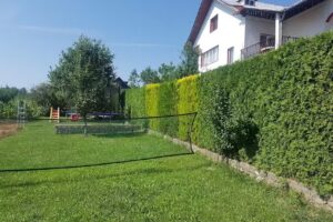 Pensiunea Ioana Horezu