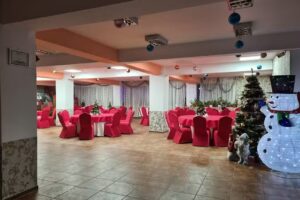 Pensiunea Ioana & SPA