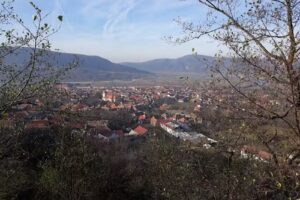 Pensiunea Ioana Turnu Rosu