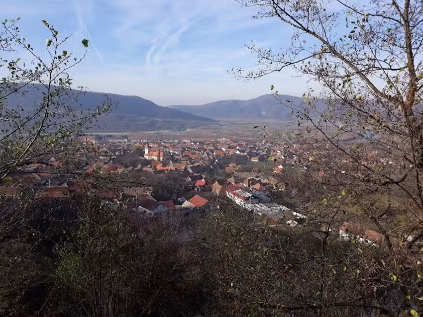 Pensiunea Ioana Turnu Rosu