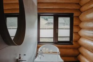 Pensiunea Izvorul Tăuşoarelor